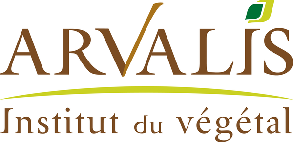 arvalis